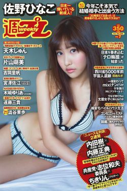 战雷电视剧全集30